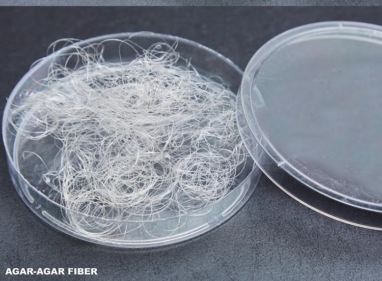 Foto: Fibras de ágar-ágar (Thamires Pontes)