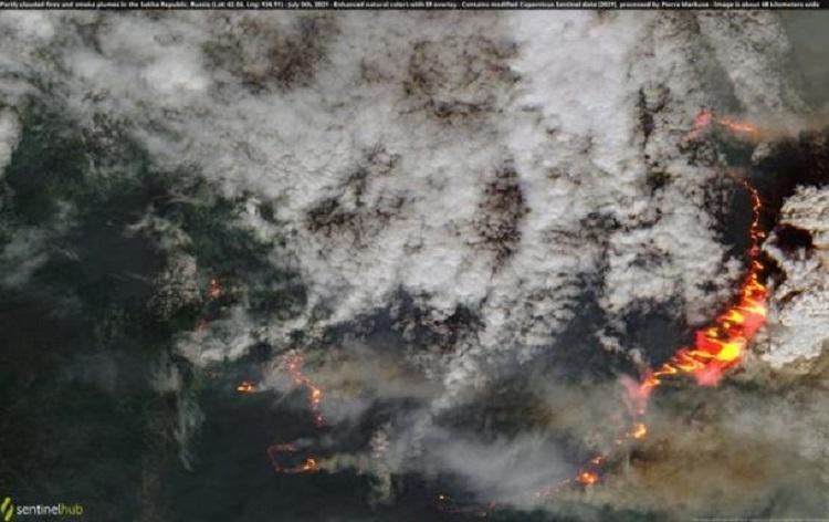 Incêndios florestais no Hemisfério Norte