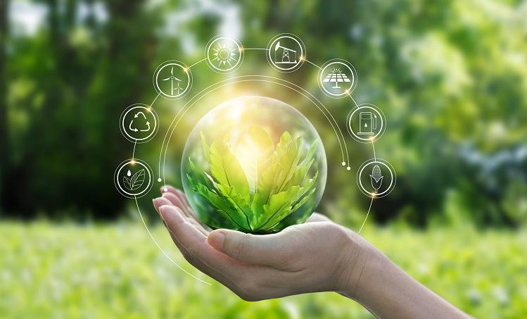 6 coisas que você pode fazer para combater o aquecimento global ...