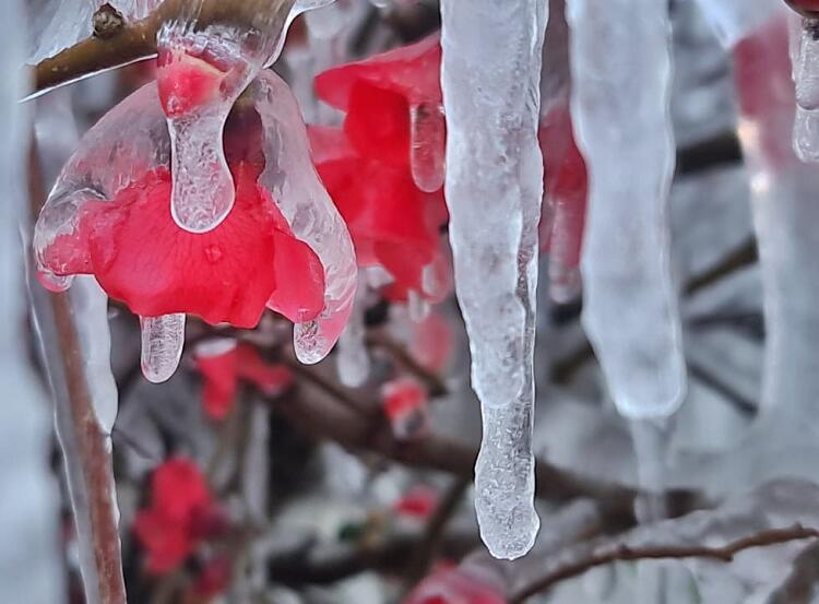 Com quase -9°C, serra de SC bate recorde de frio deste ano no BR