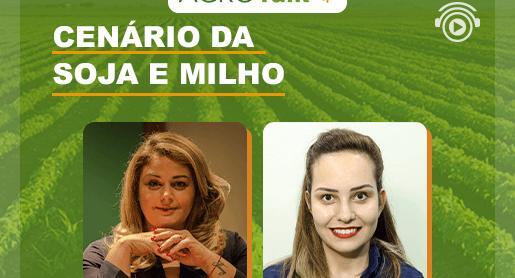 Boletim agrícola: cenário de milho e soja no AgroTalk 
