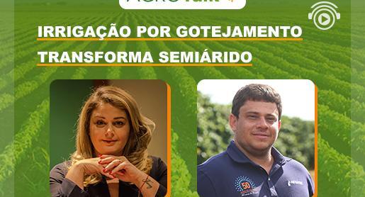 Produção de cana transforma semiárido 