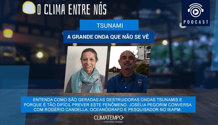 Foto: Tsunami: a grande onda que não se vê