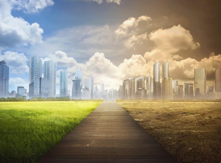 Foto: iStock Foto: iStock