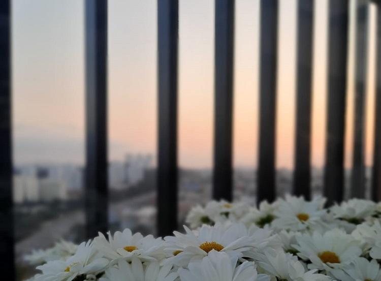 Foto: São Paulo (SP). por Desiree Brandt 