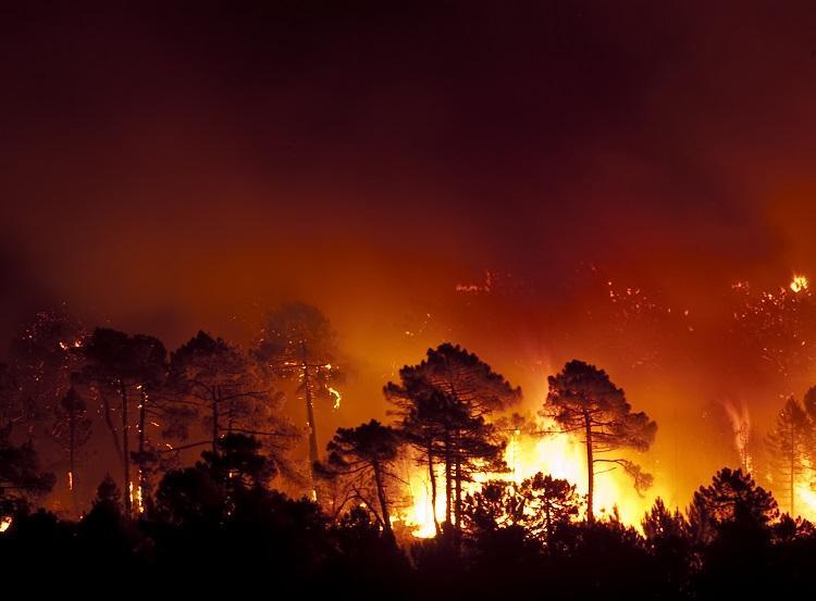 Foto: Área queimada por incêndios que devastam os Bálcãs, a Itália e o sudeste do Mediterrâneo já supera as médias anuais. (iStock)