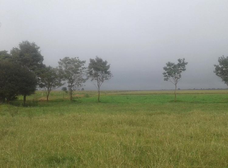 Frente fria muda o tempo em SP neste domingo - Notícias Climatempo