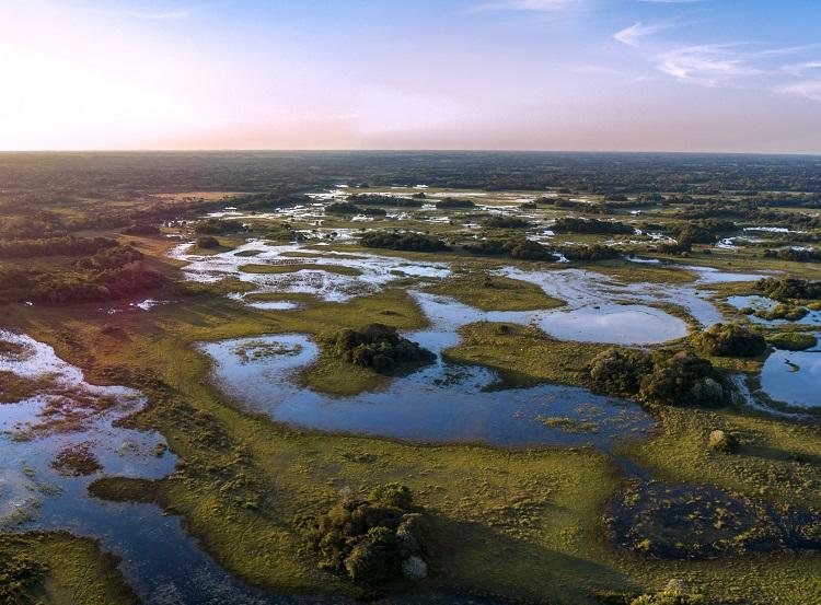 Foto: Alagação no Pantanal (iStock)