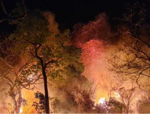 fires-picture-id1278848727 (1)