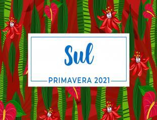 06 Sul