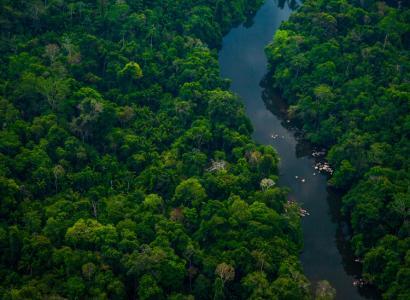 iStock_Floresta Amazônica
