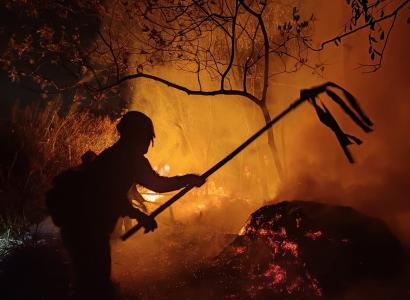Queimada no Parque do Juquery (SP) em 23/09/21. Foto: CP PM Robson Mitsuo Munhoz Guenca