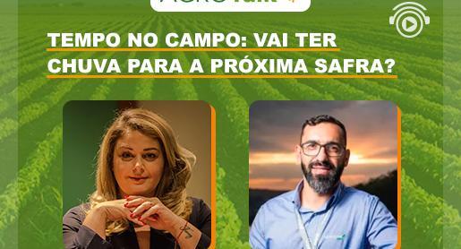 Tempo no Campo: Vai ter chuva para a próxima safra? 