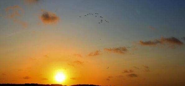 Palmas, Manaus e Teresina podem ter recorde de calor hoje