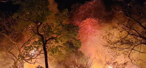Minas Gerais é o estado com maior focos de queimadas em setembro