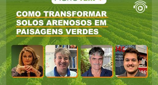 Como transformar solos arenosos em paisagens verdes?