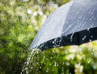 iStock-1225022383 (1)