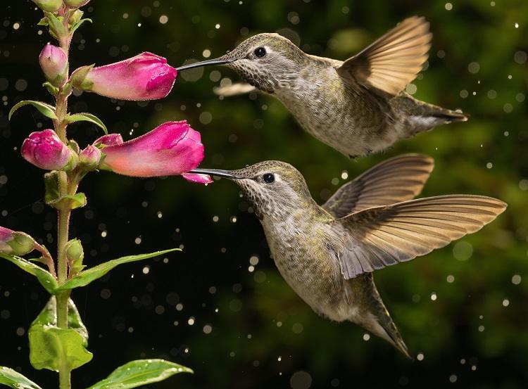 Foto: iStock Foto: iStock