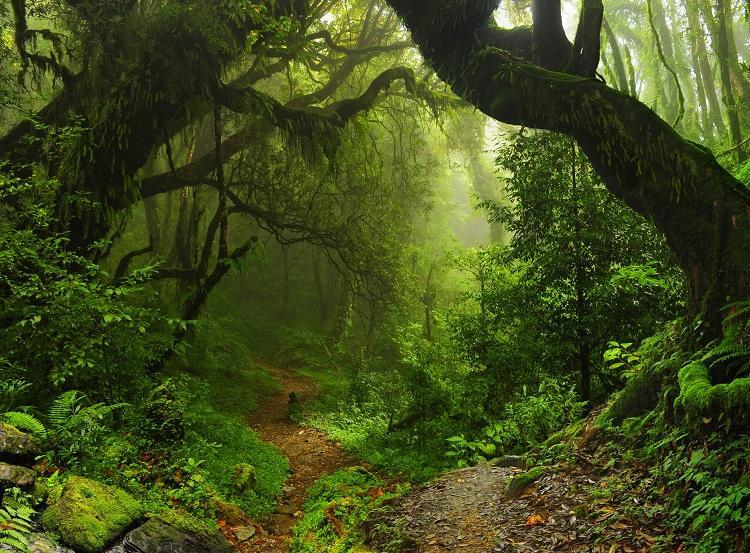 Foto: iStock Foto: iStock