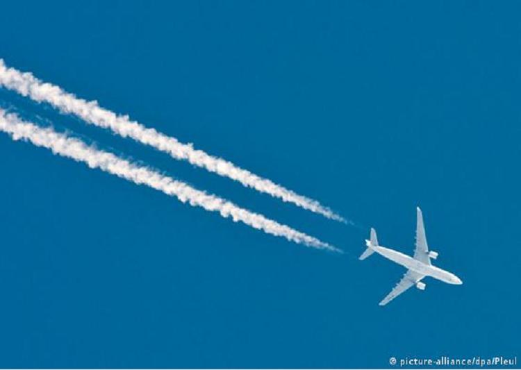 Foto: picture-alliance/dpa/Pleul (DW) Foto: picture-alliance/dpa/Pleul (DW)