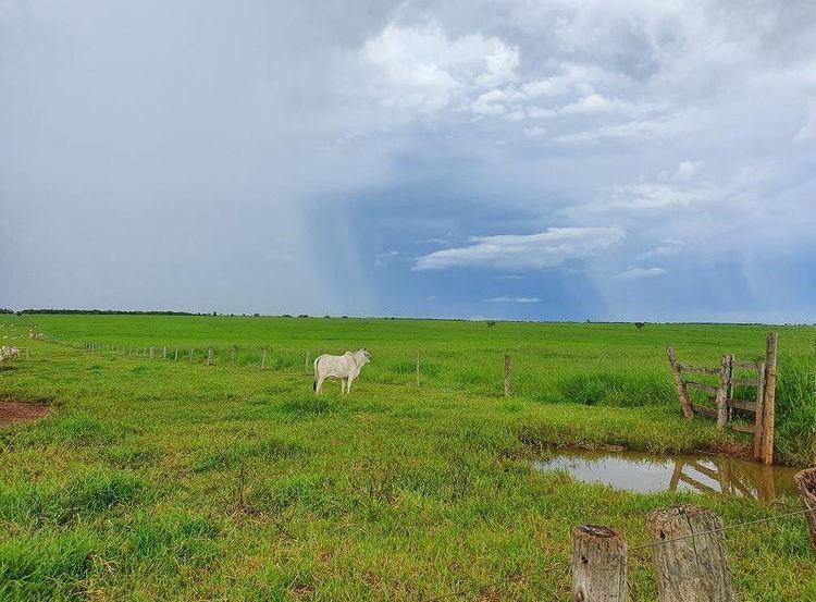 Foto: Água Boa (MT), por Daniel Estevam 