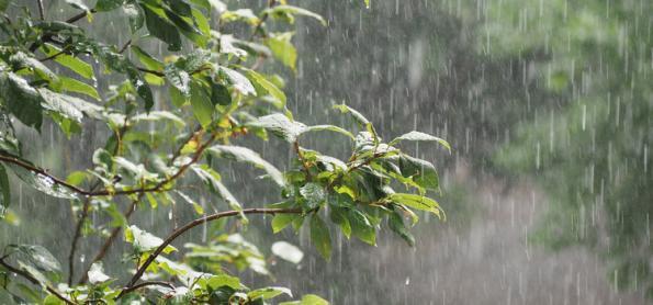 Chuva retorna ao sul do Brasil nos próximos dias 
