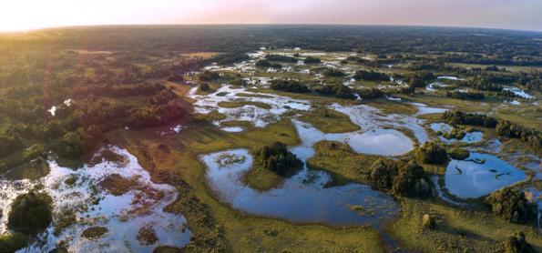 Dia do Pantanal! Patrimônio Natural da Humanidade 