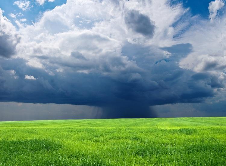 Foto: iStock
