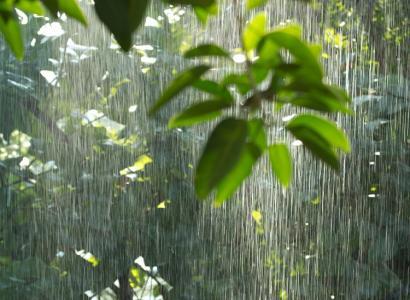 Foto: iStock
