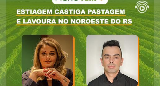 Estiagem castiga pastagem e lavoura no noroeste do RS