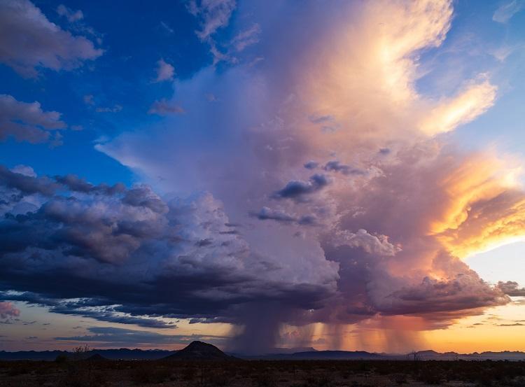 Foto: iStock