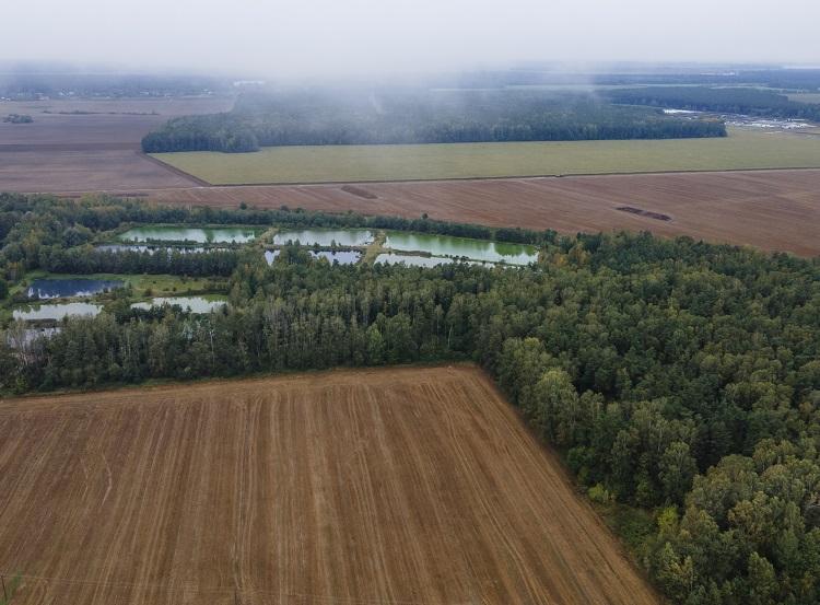 Foto: desmatamento na Amazônia (istock) Foto: desmatamento na Amazônia (istock)