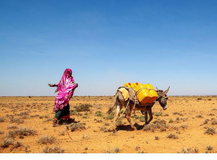Foto: seca na Somália/Pnud - ONU News
