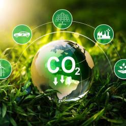 Benefícios de iniciativas baixo carbono para o planeta