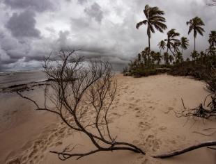 stormy-days-at-praia-do-forte-beach-picture-id1165386151