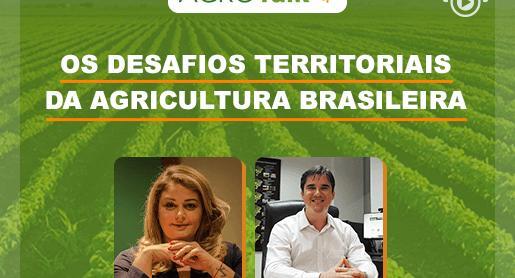 Os desafios territoriais da agricultura brasileira