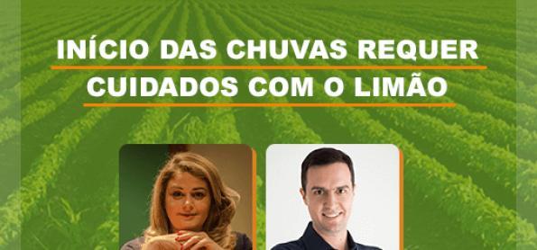 Início das chuvas requer cuidados com o limão