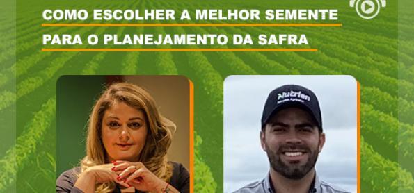 Como escolher a melhor semente para o planejamento da safra