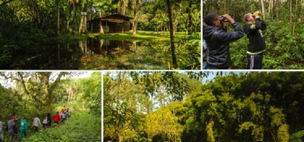 São Paulo mais verde: 3 parques diferentes conhecer sua natureza