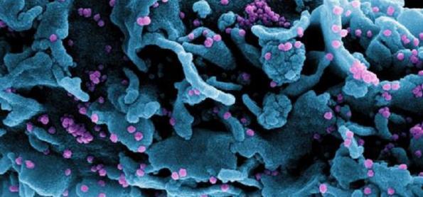 Nova variante do coronavírus é detectada na França