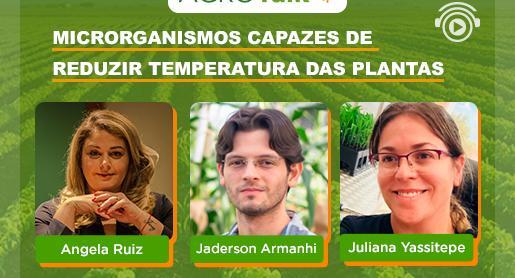 Microrganismos capazes de reduzir temperatura das plantas