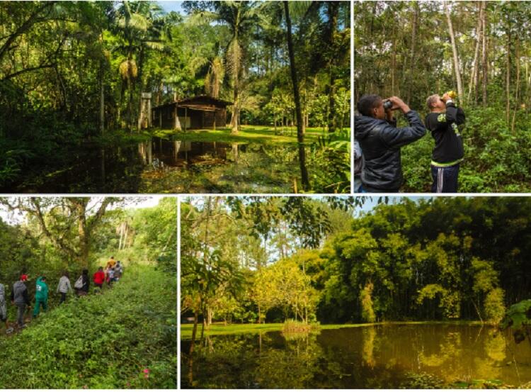 São Paulo mais verde: 3 parques diferentes conhecer sua natureza