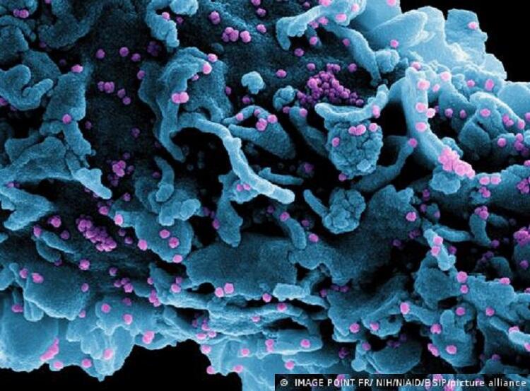 Neue Variante des Coronavirus in Frankreich entdeckt