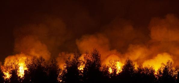 Relatório Fronteiras revela aumento de problemas ambientais