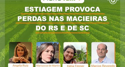 Estiagem provoca perdas nas macieiras do RS e SC 