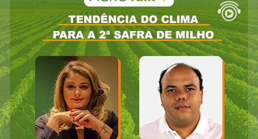 Clima para a segunda safra de milho é destaque no AgroTalk 