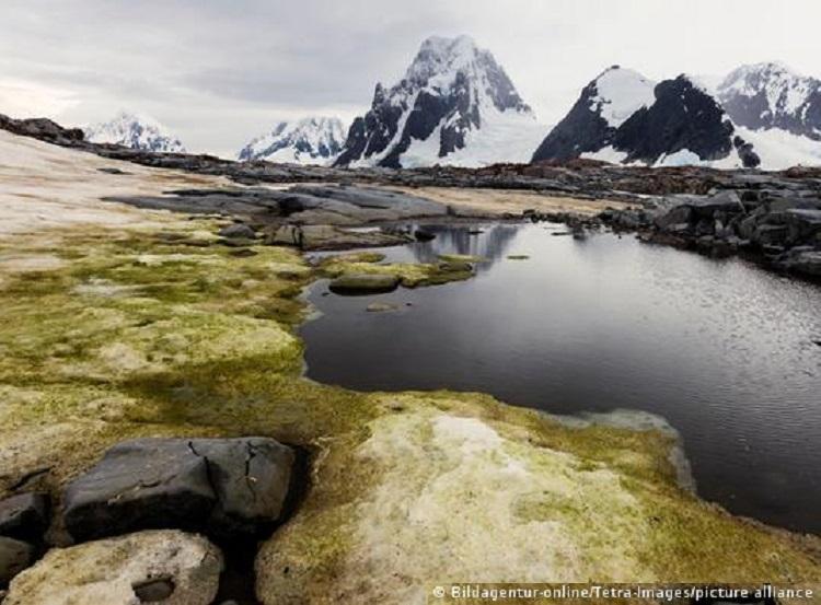 Foto: Bildagentur-online/Tetra-Images/picture alliance (DW divulgação)