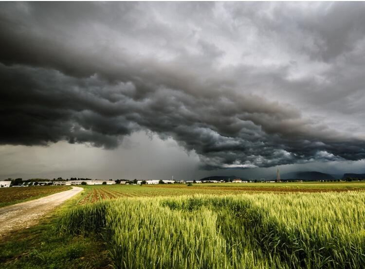 storm-over-the-fields-picture-id531312214