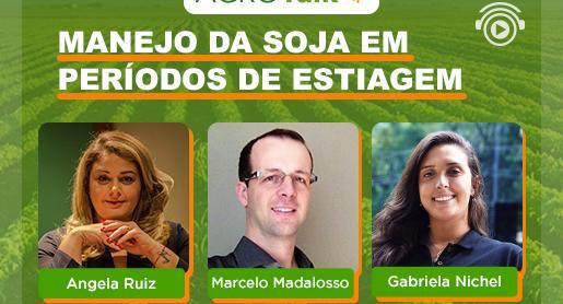 Manejo da soja em períodos de estiagem é tema do Agrotalk