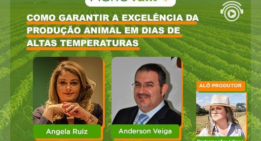 Alta temperatura pode impactar na qualidade da produção animal